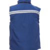 gilets flight bleu roi back